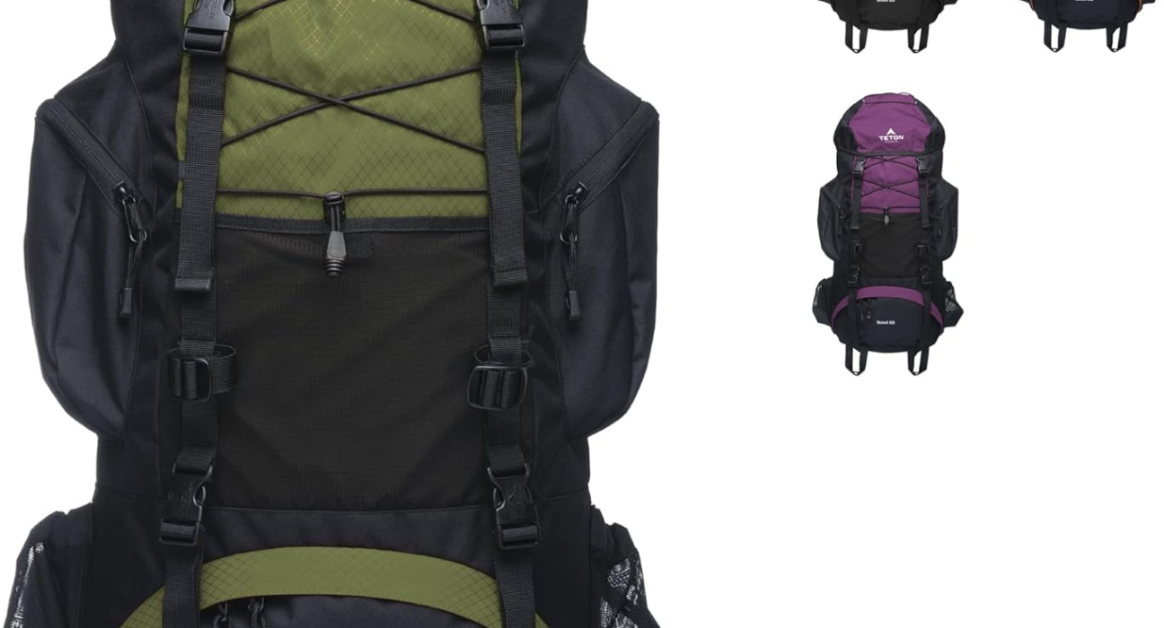 Target Travel Backpack