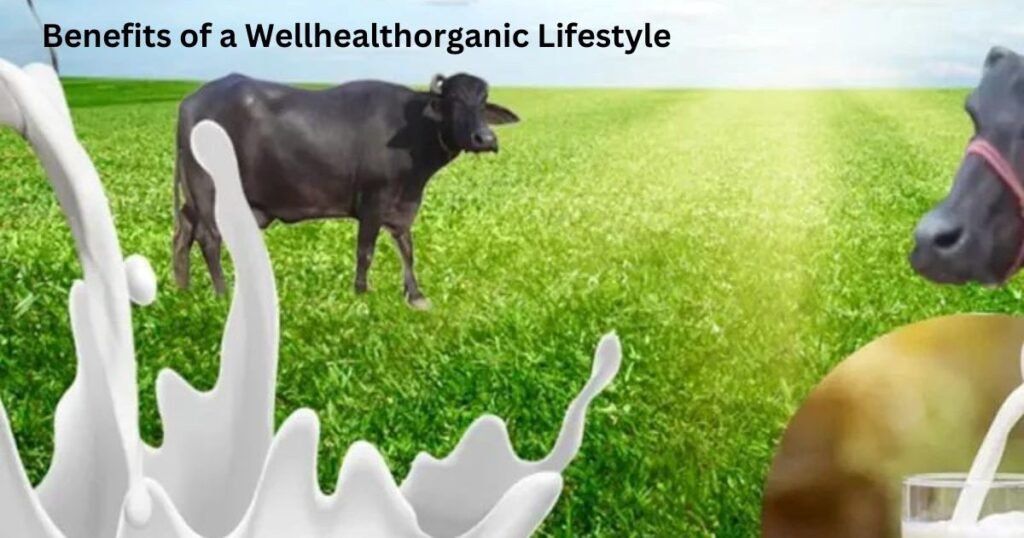 Healthy life wellhealthorganic