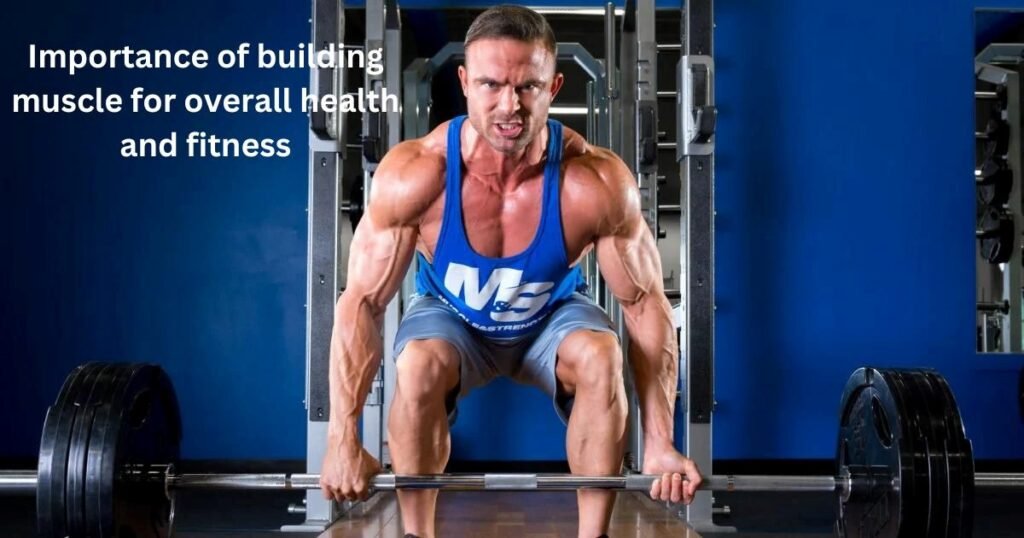 wellhealth how to build muscle tag