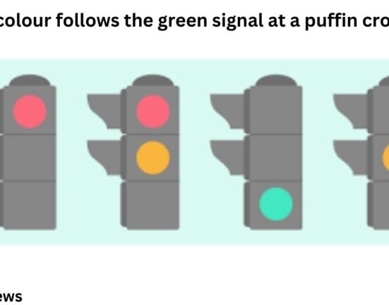 Which colour follows the green signal at a puffin crossing?